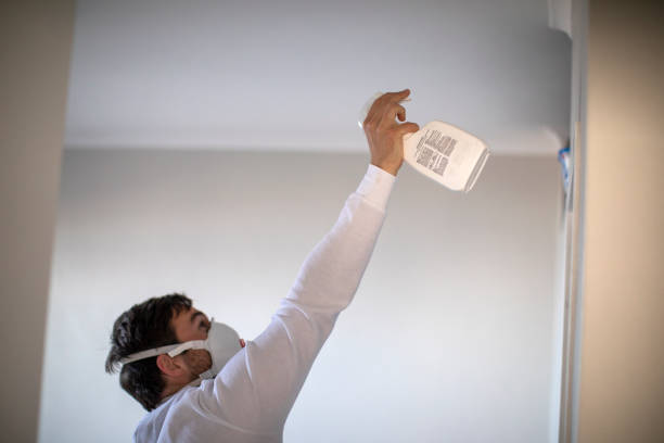 Best Mold Testing and Inspection Services in Valley Springs, CA