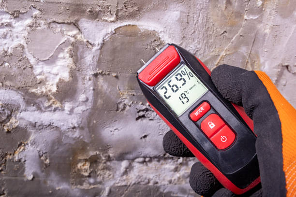 Best Post-Flood Mold Remediation in Valley Springs, CA